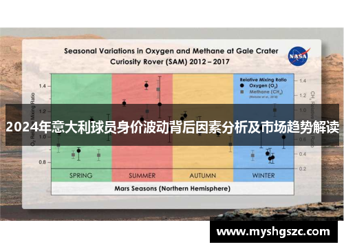 2024年意大利球员身价波动背后因素分析及市场趋势解读