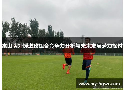 泰山队外援进攻组合竞争力分析与未来发展潜力探讨