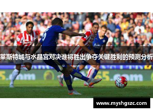 莱斯特城与水晶宫对决谁将胜出争夺关键胜利的预测分析