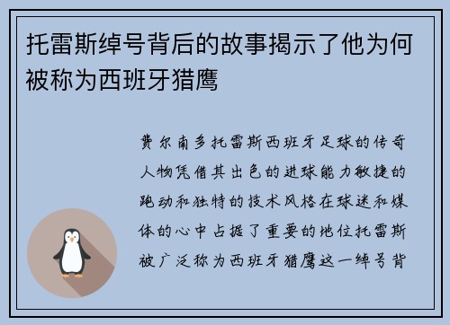 托雷斯绰号背后的故事揭示了他为何被称为西班牙猎鹰 托雷斯绰号背后的故事揭示了他为何被称为西班牙猎鹰