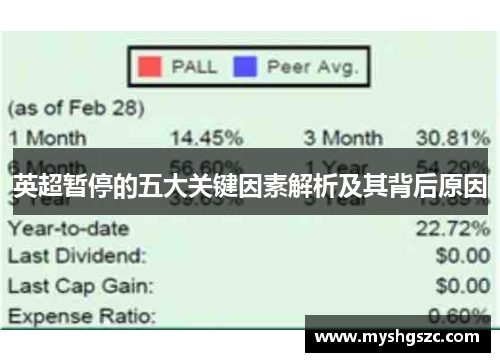英超暂停的五大关键因素解析及其背后原因